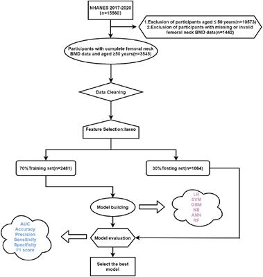 Application of machine learning algorithms to identify people with low bone density